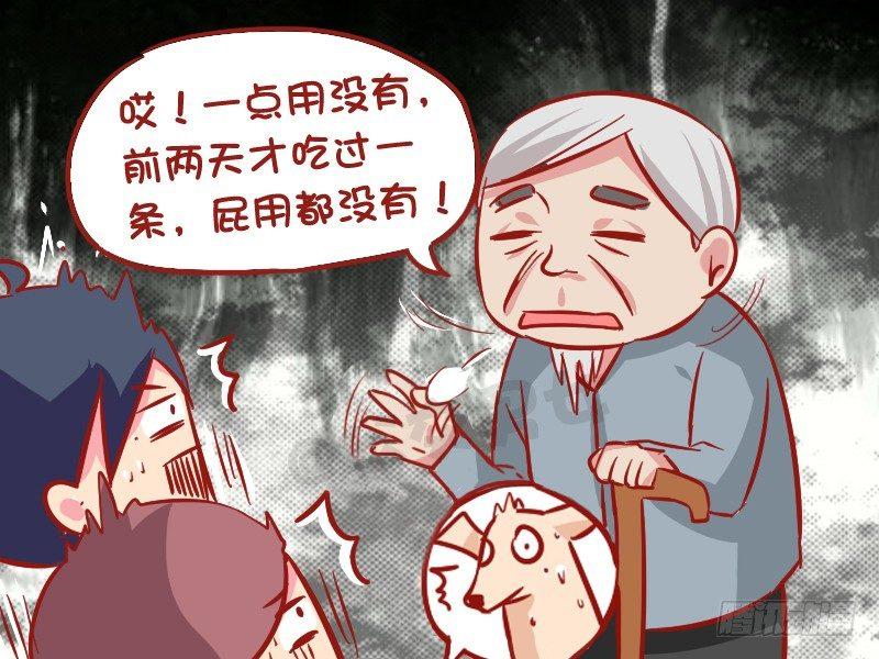 1022-导盲犬4