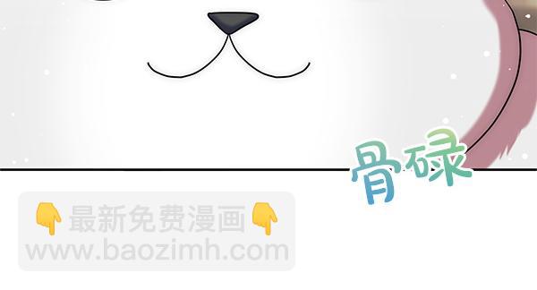 第34话 万全计划219