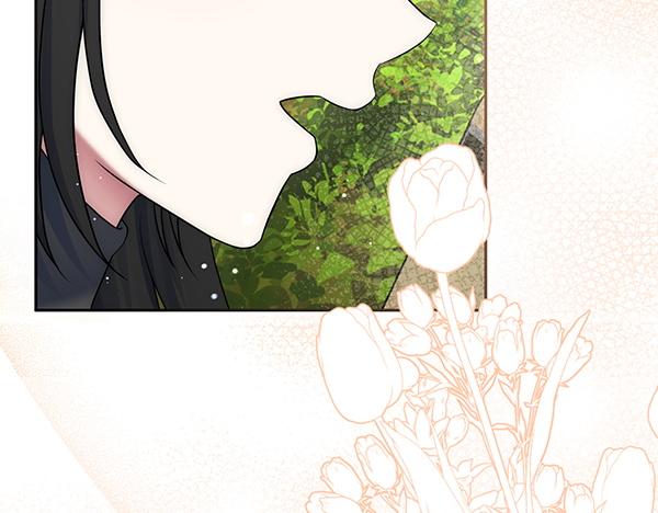 第34话 万全计划247