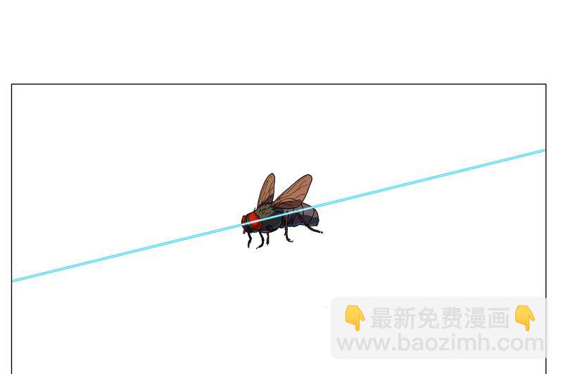 第104话 我们回来啦！21