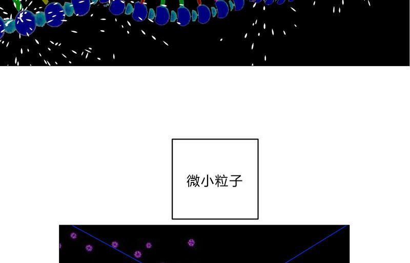 第117话 真的吗，我不信69