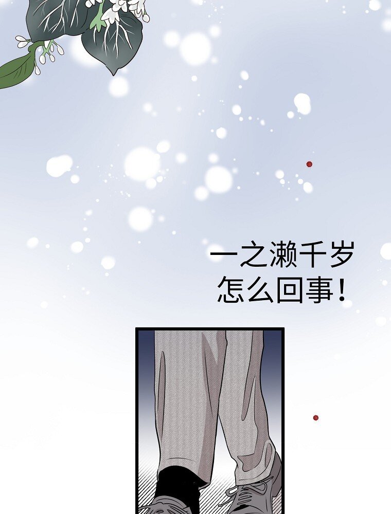 009 从今天开始同居17