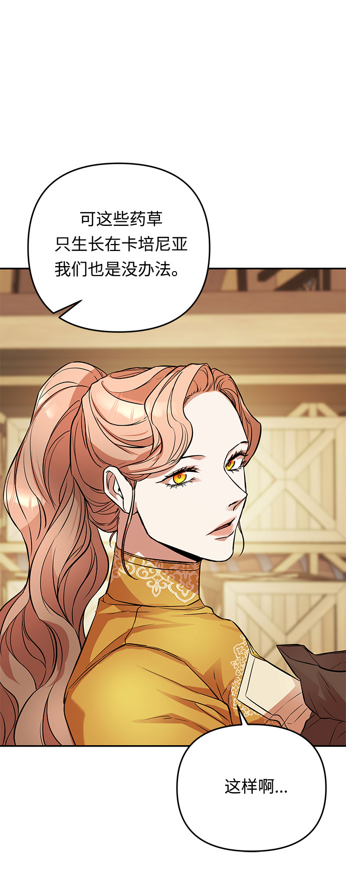 第35话 王妃的剑（1）46