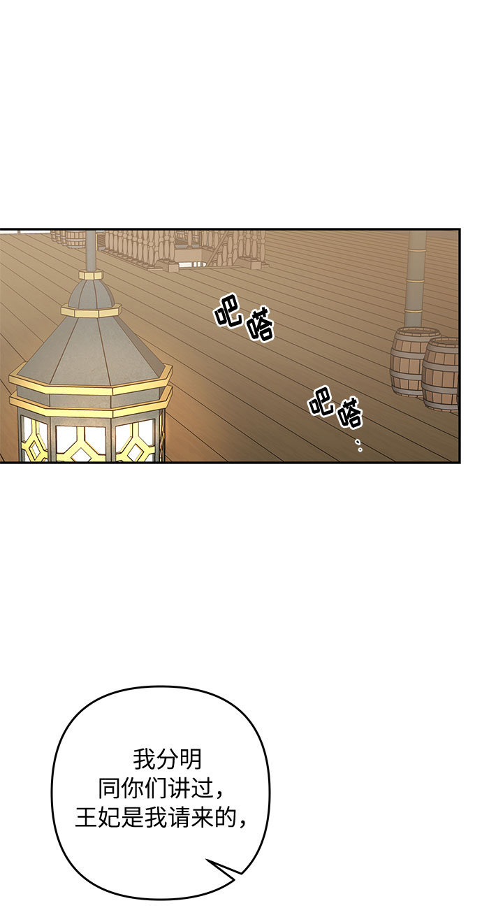 第37话 王妃的剑（3）45