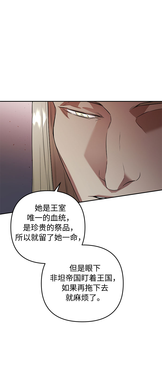 第45话 王妃的剑（8）42