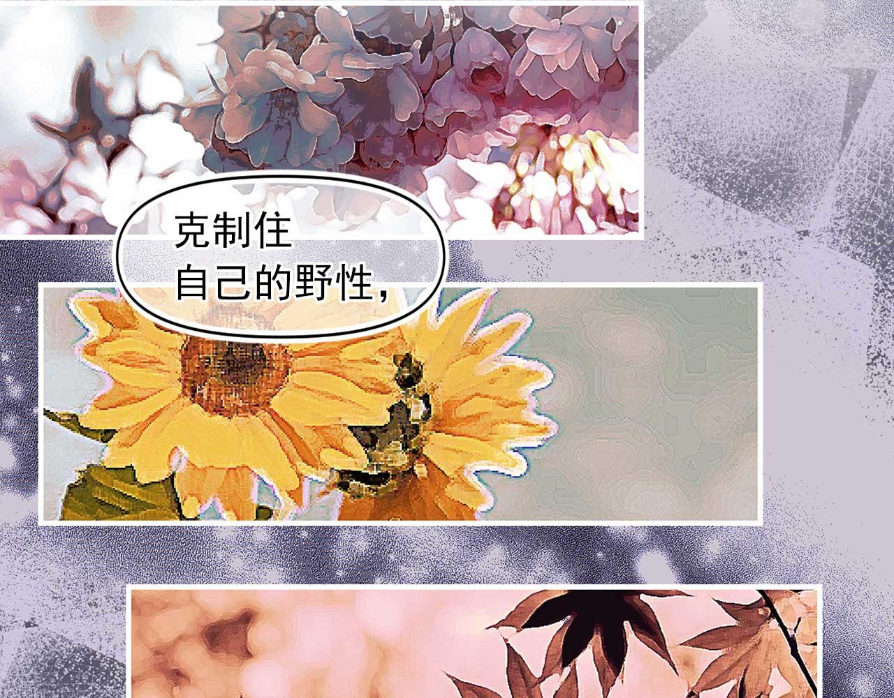 第75话 最爱你的人56