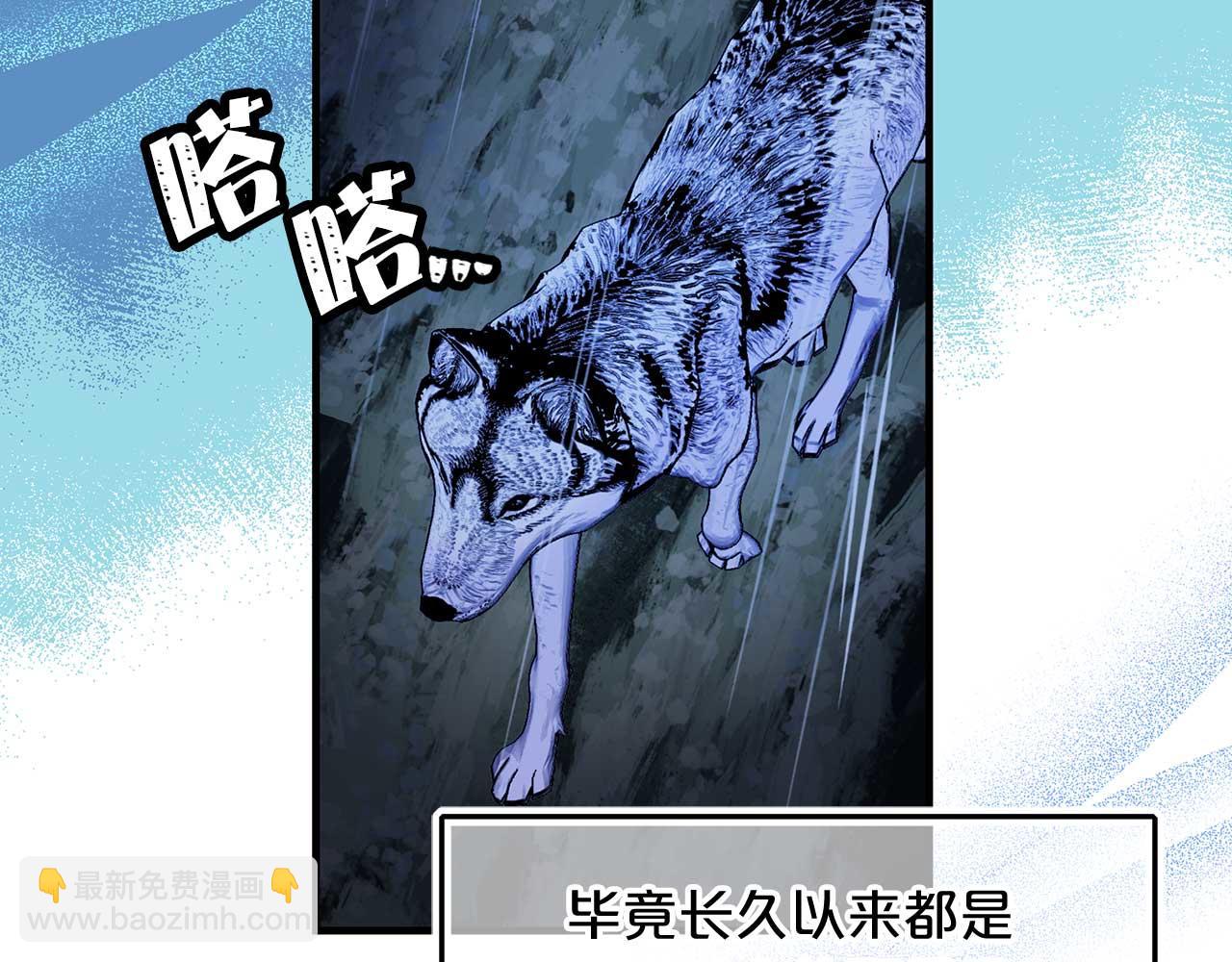 完结篇 掌控命运33