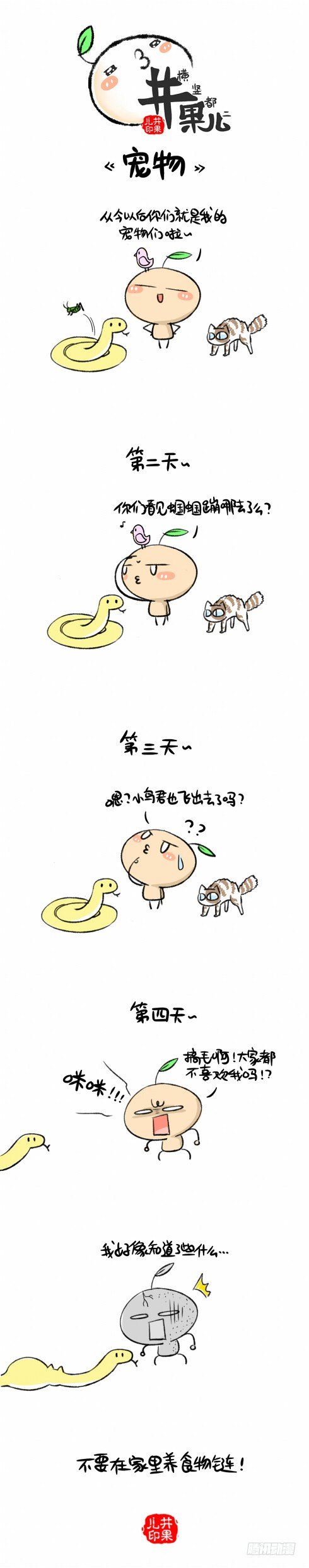 宠物20