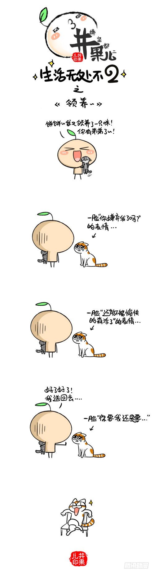 335.领养/336.宠物用品0