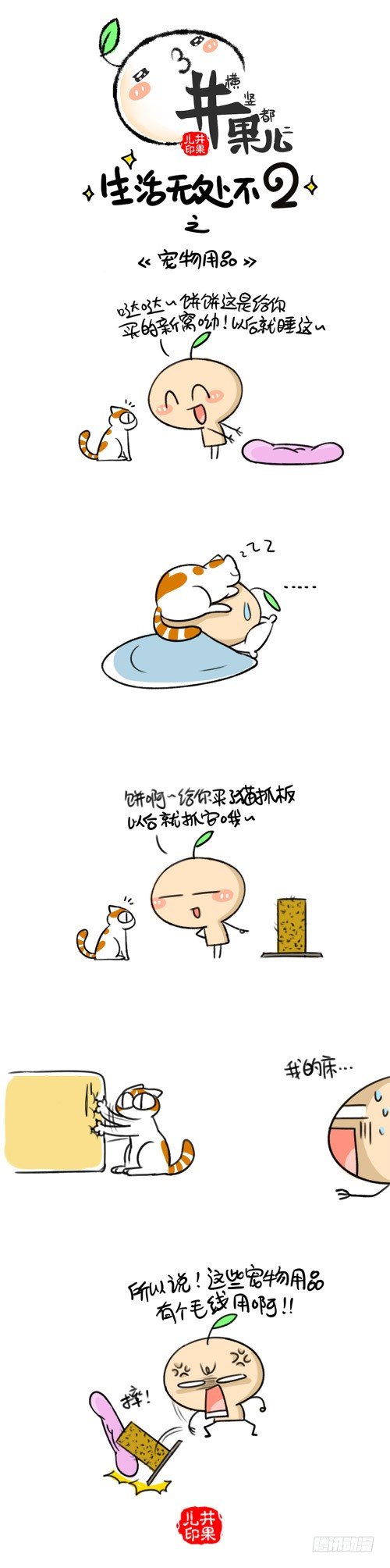 335.领养/336.宠物用品1