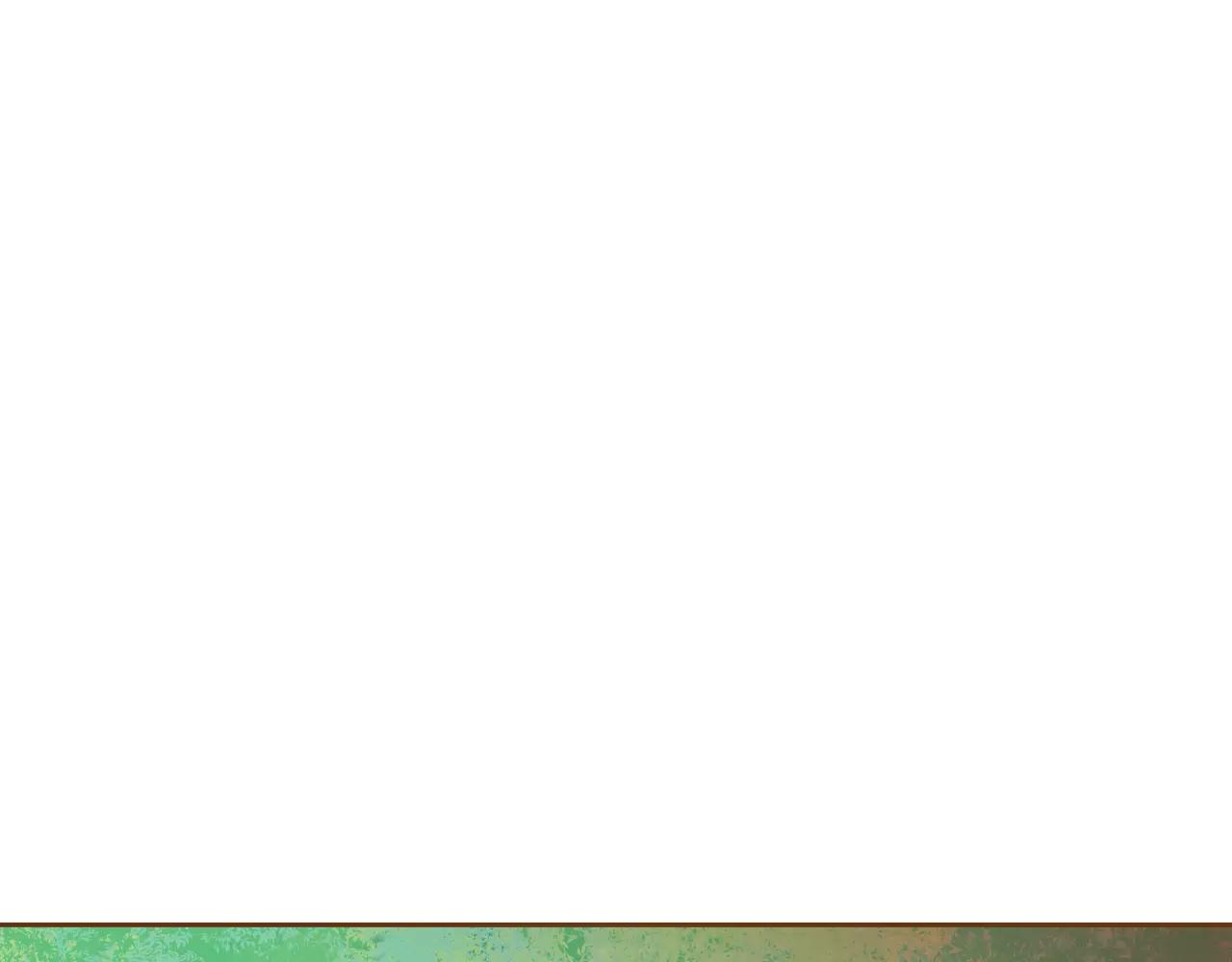 第28话 特别的存在41