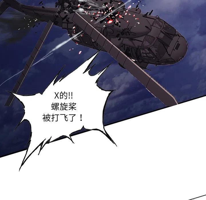 44113