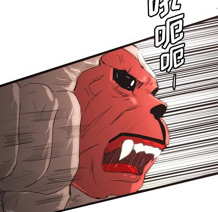 54123