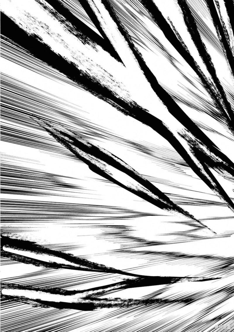 第66话机翻30