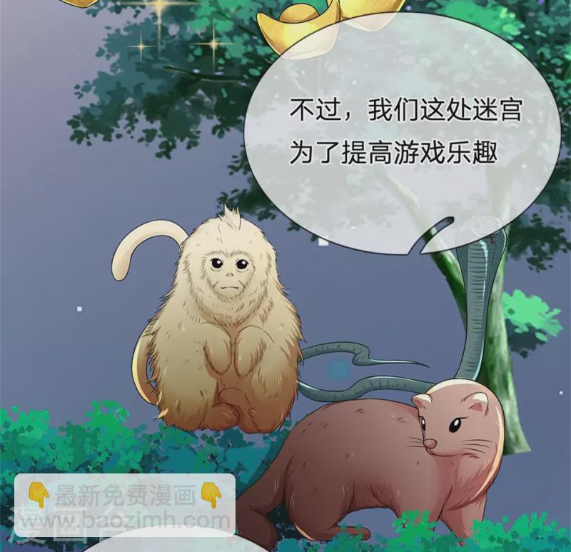 第256话 一起去寻宝吧2