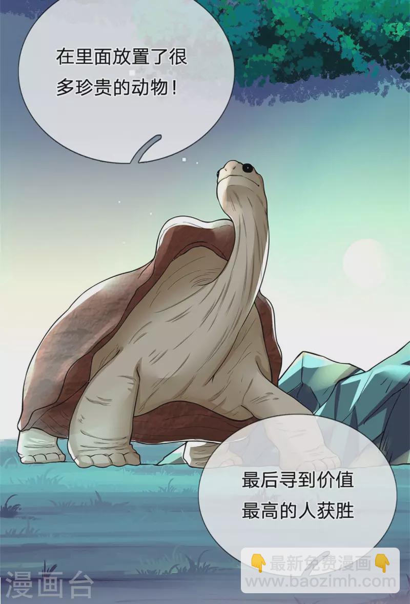 第256话 一起去寻宝吧3