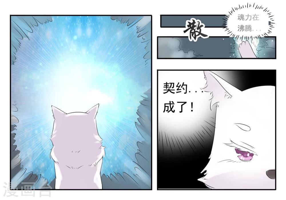 第11话 签订契约11