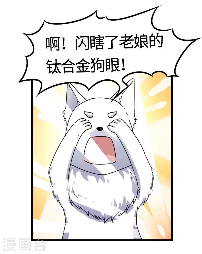 第100话 献礼2