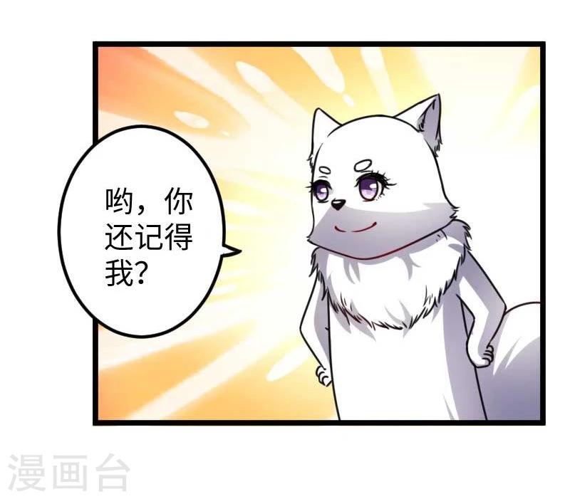 第120话 卡斯35