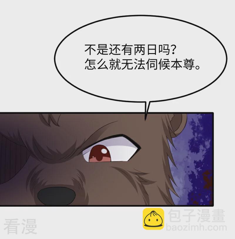 第348话 被熊绑架了12