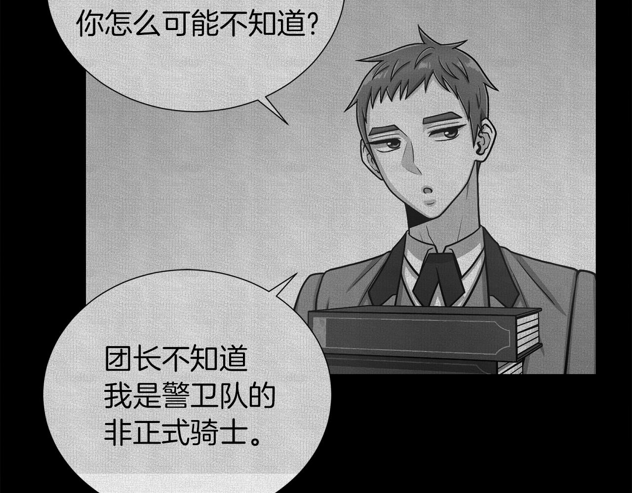 第20话 骑士的标准29