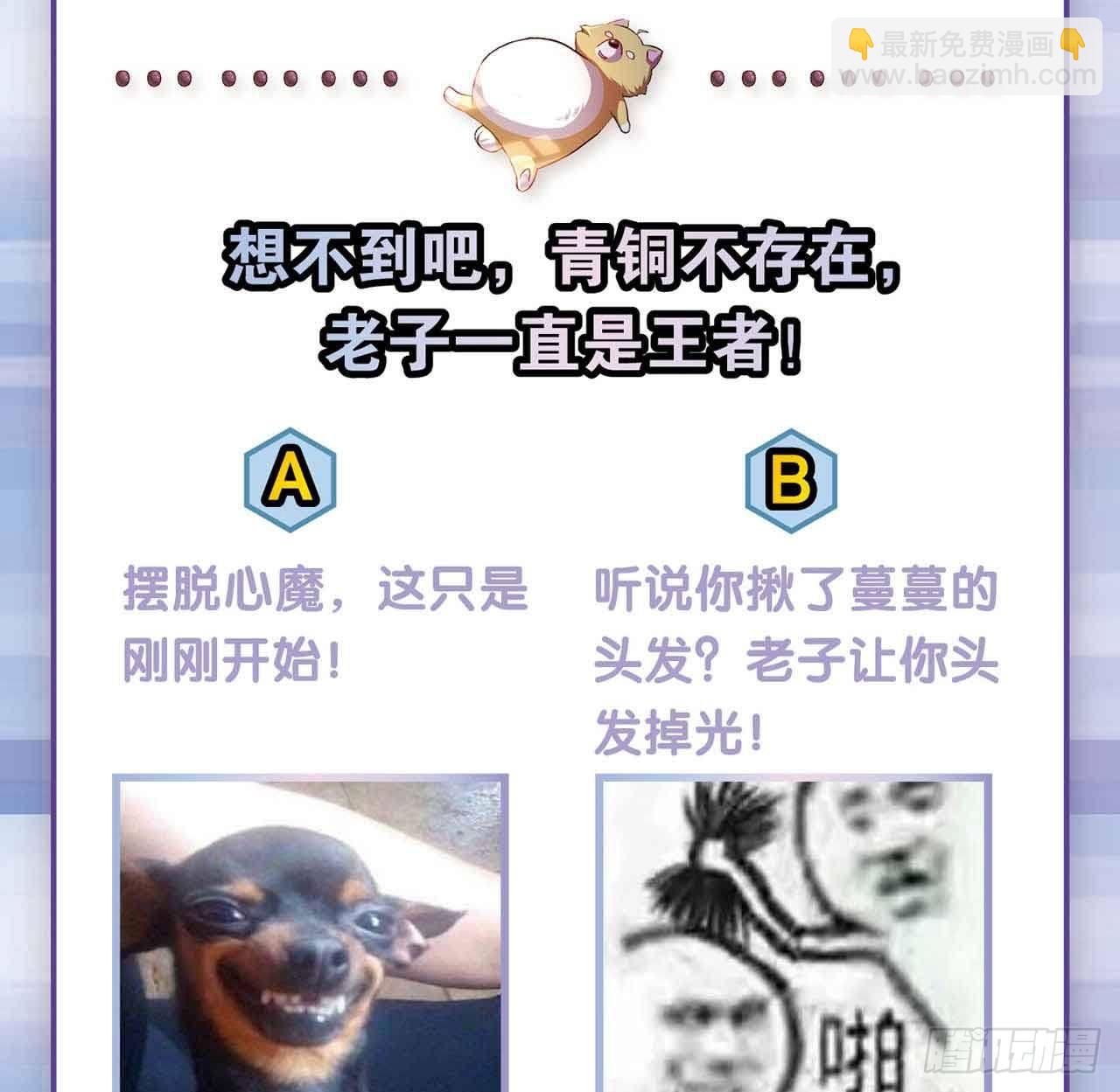 闻折柳70