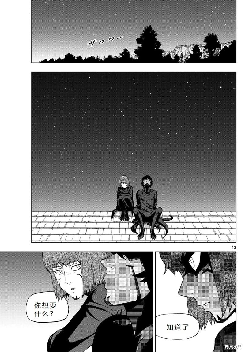 第66话机翻13
