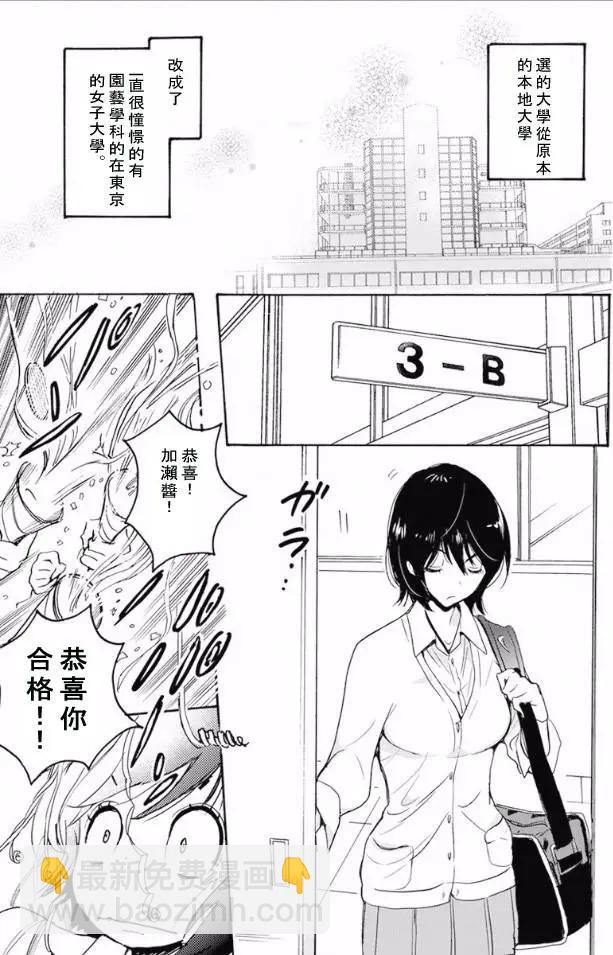 17 郁金香与加濑同学4
