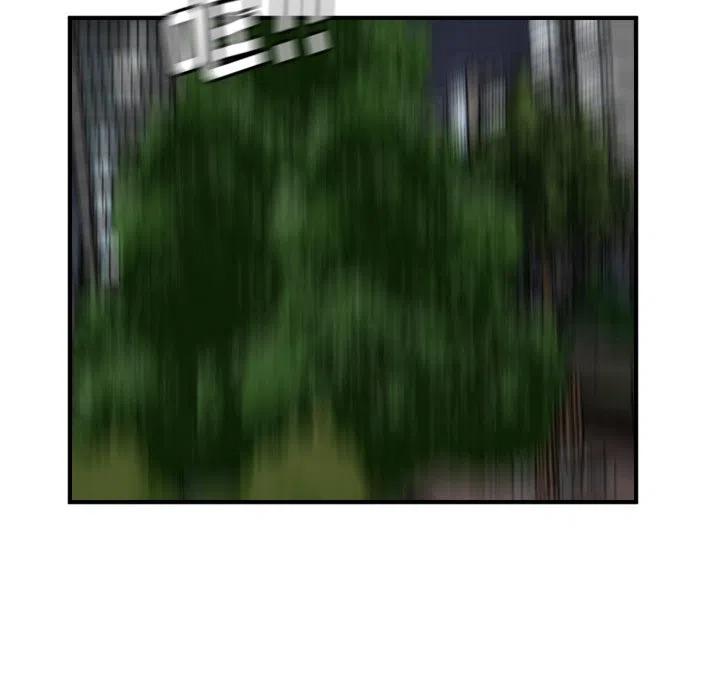 84117