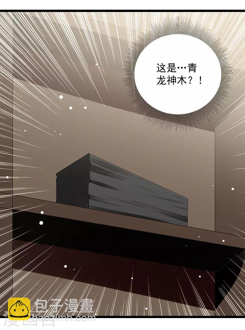 第115话 青龙神木6