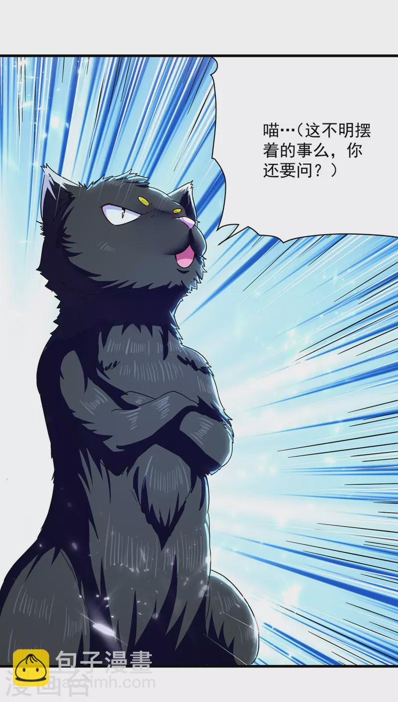 第149话 收服小猫咪1