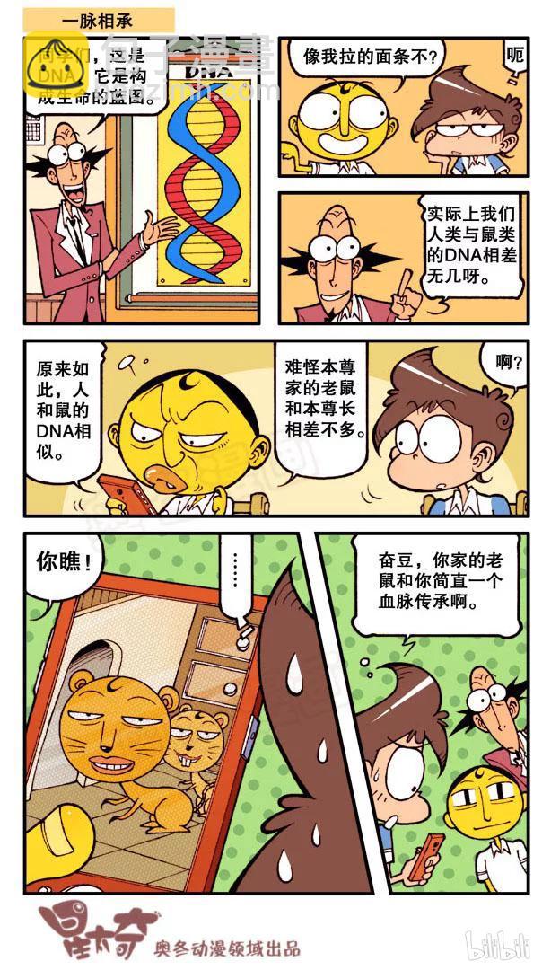 星之66 奋豆的拉面梗3