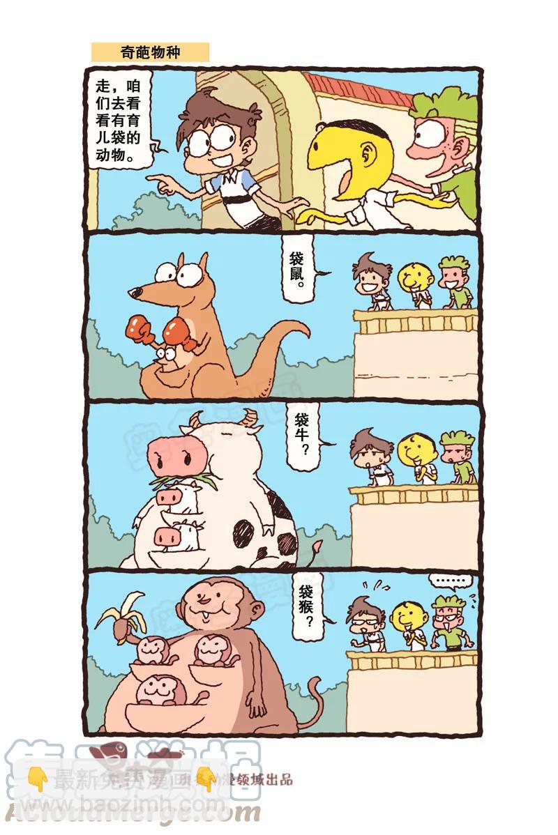 星之311 钱只够一个人的，怎么办？3