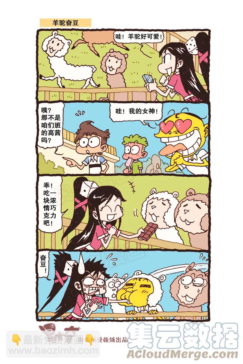 星之311 钱只够一个人的，怎么办？5