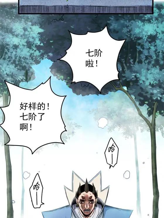 14 乱心林试炼34