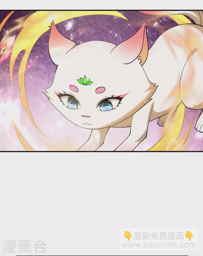 第166话 小白的实力27