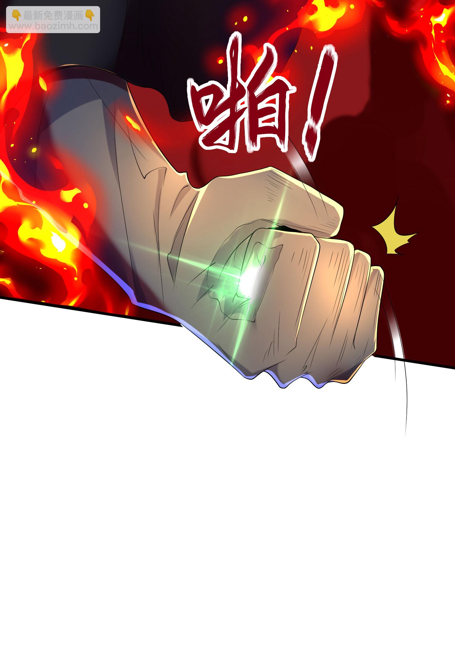 第309话 久违了，紫檀！10