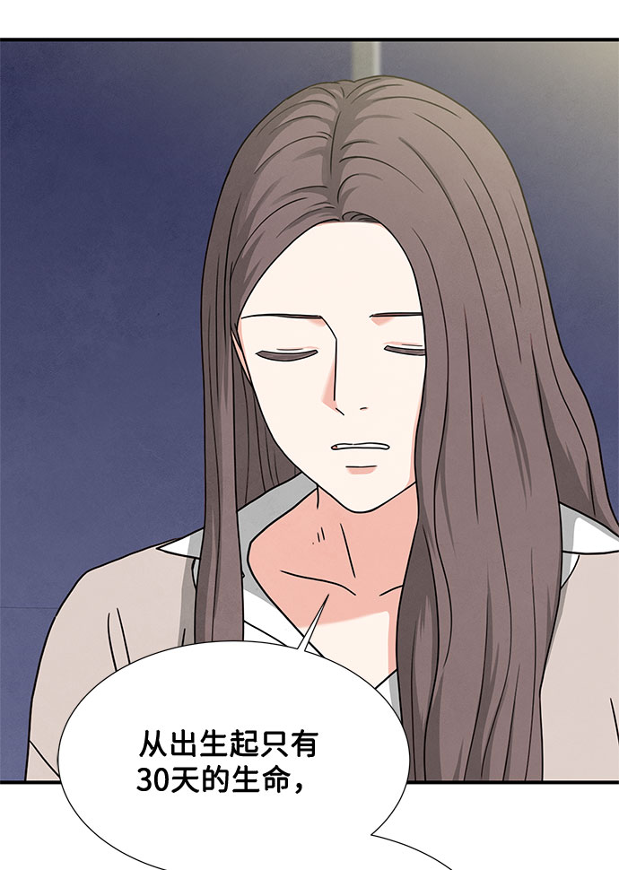 第20话62