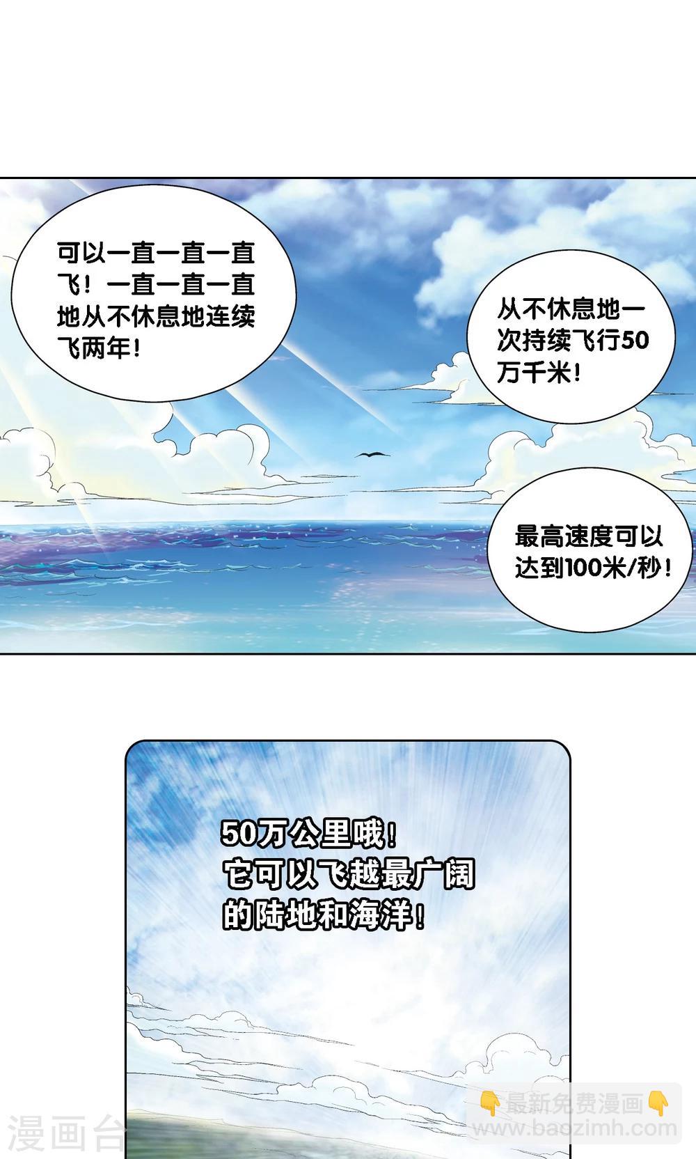第35话 蜂鸟和雨燕14