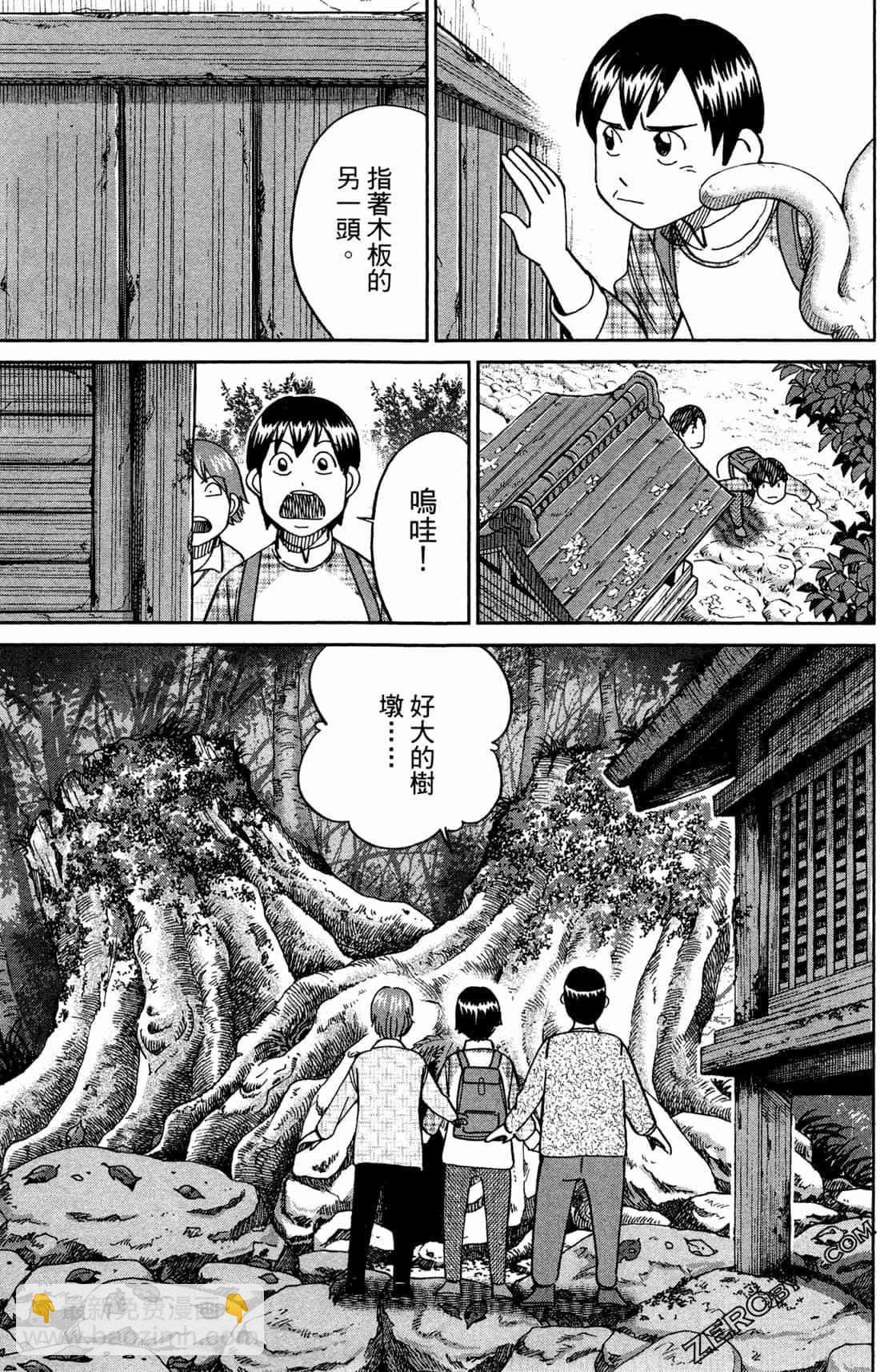 37卷197