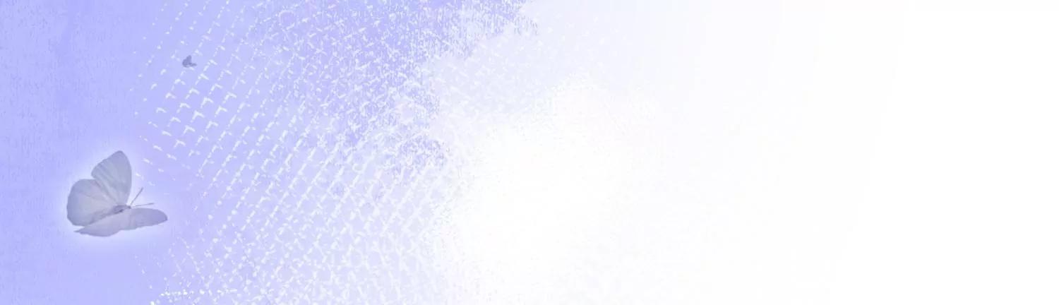 第5话 陷阱142