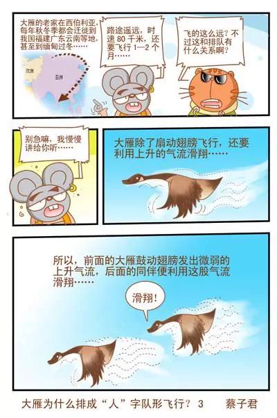 第11话2