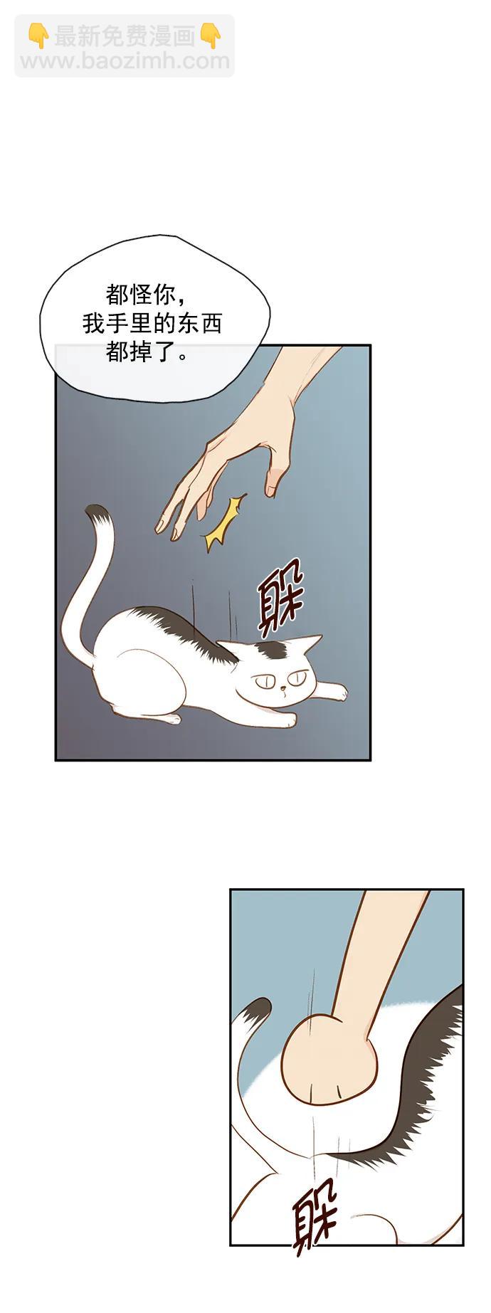 第28话41