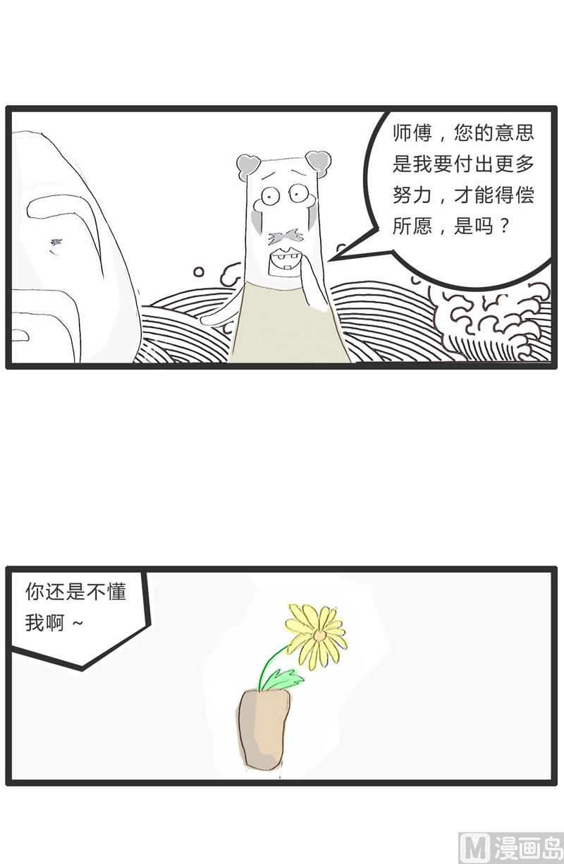 盛开的梅花3