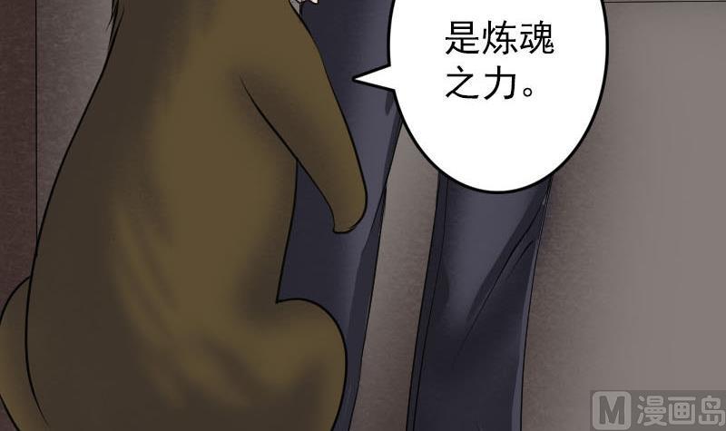 第88话 炼魂之力81