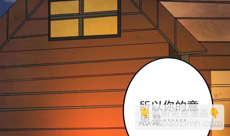 第132话 制约与平衡3