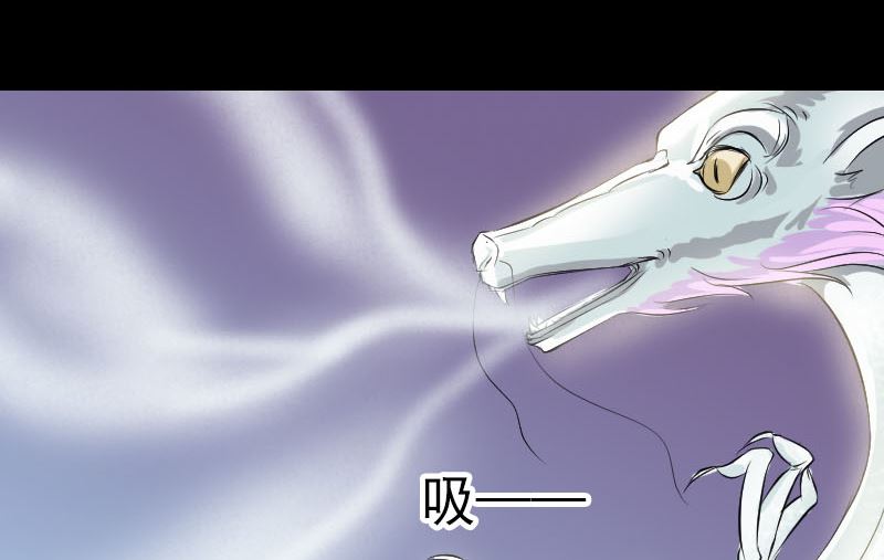 第158话 宝珠与白龙62