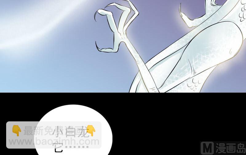 第158话 宝珠与白龙63