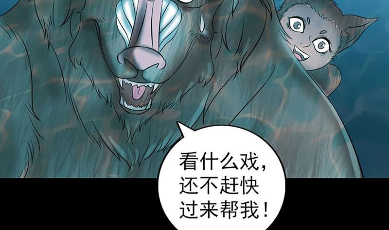 第207话 龙珠雷达104