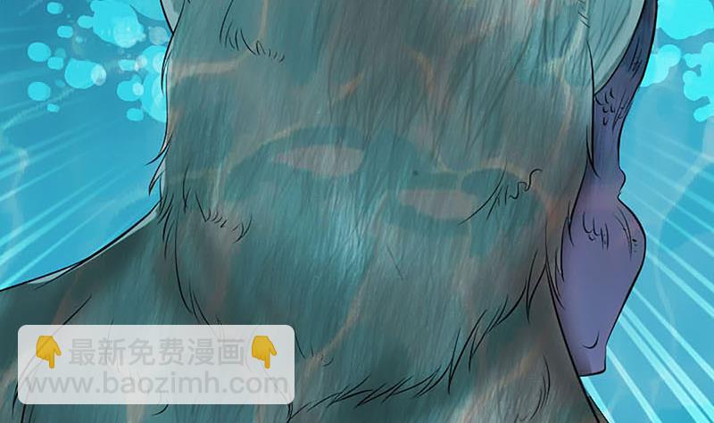第207话 龙珠雷达97